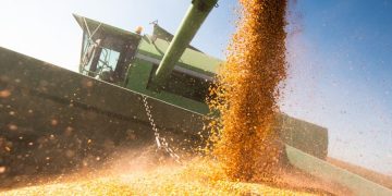 Temperaturas acima dos 40 °C preocupam agricultores em Mato Grosso