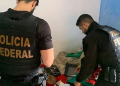 Polícia Federal prende em Rondonópolis dois foragidos por estupro de vulnerável