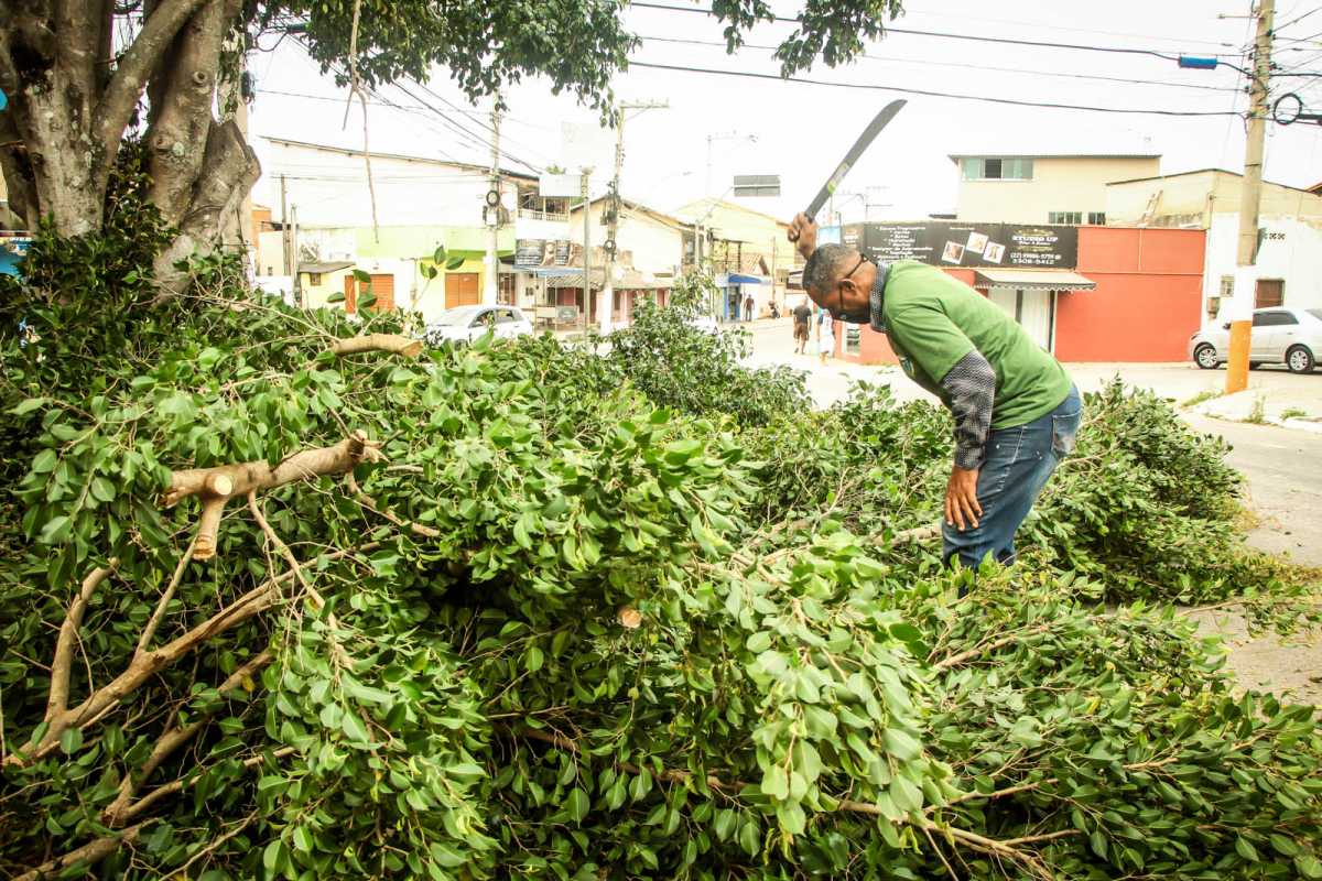 Prefeitura de Campo Verde organiza cronograma para coleta de entulhos e poda de árvores