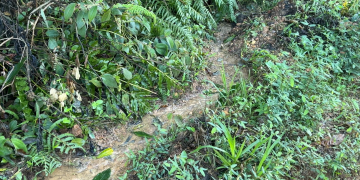 Moradores denunciam risco ambiental e erosões em área próxima ao cemitério em Campo Verde