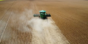 Comercialização de grãos e fibra em Mato Grosso é marcada por cautela e oscilação de preços