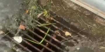 Esgoto extravasa durante início da Festa do Milho e preocupa trabalhadores