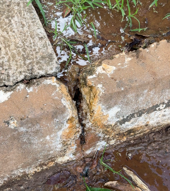 Vazamento de água preocupa moradores e danifica rua