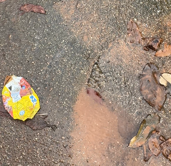 Moradores denunciam desperdício de água e cobram solução em rua do bairro Jupiara