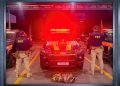 PRF apreende material explosivo transportado em ônibus de passageiros na BR-174
