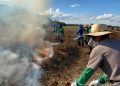 Corpo de Bombeiros inicia processo de formação de brigadas de incêndio  
