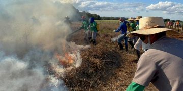 Corpo de Bombeiros inicia processo de formação de brigadas de incêndio  